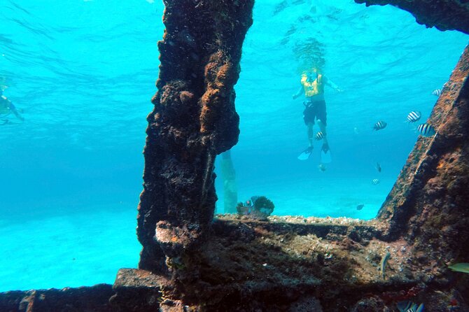 Cancun Snorkeling Tour: Swim with Turtles, Reef, Underwater Museum and Shipwreck - Who this Cancun turtle and shipwreck snorkel tour fits best