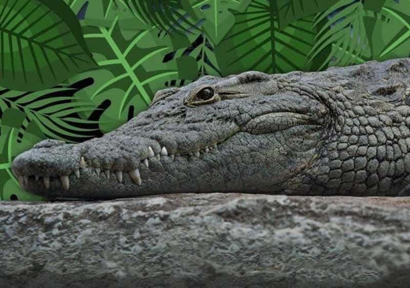 Cancun: Speedboat Adventure & Crocodile Sighting - Price and value: is $139 for 2 hours a fair deal?