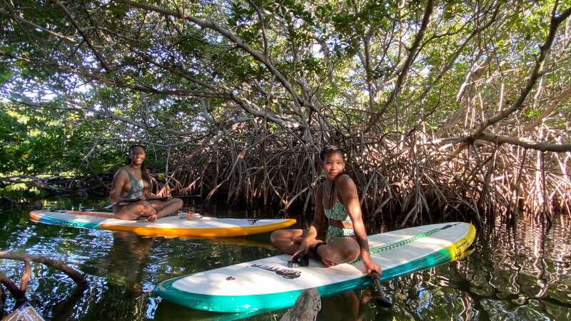 Cancun: Sunrise/Sunset Stand-Up Paddleboarding Tour - Key things I’d watch for