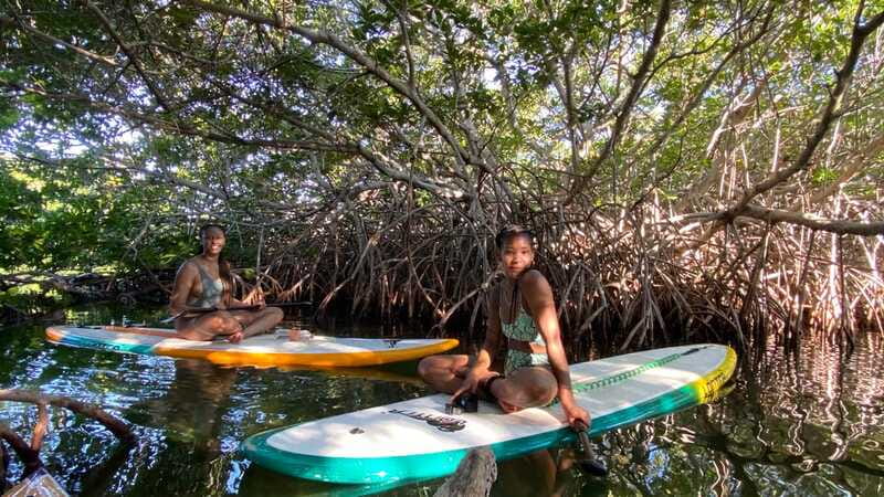 Cancun: Sunrise/Sunset Stand-Up Paddleboarding Tour - Nichupté Lagoon Paddle #2: 30 Minutes to Find Your Rhythm