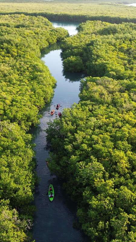 Cancun: Sunset Kayak Experience in the Mangroves - Key Things That Make This Kayak Tour Worth It