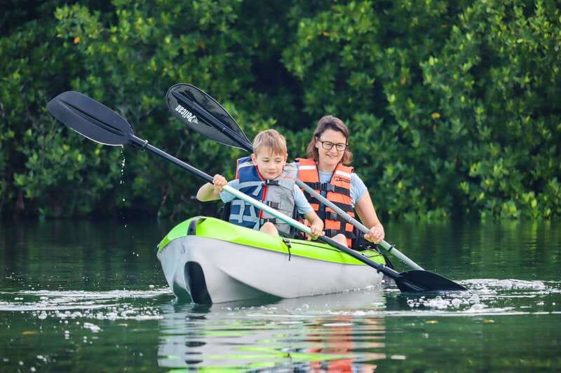 Cancun: Sunset Kayak Experience in the Mangroves - Why Nichupté at Sunset Feels Like Cancun’s Other Side