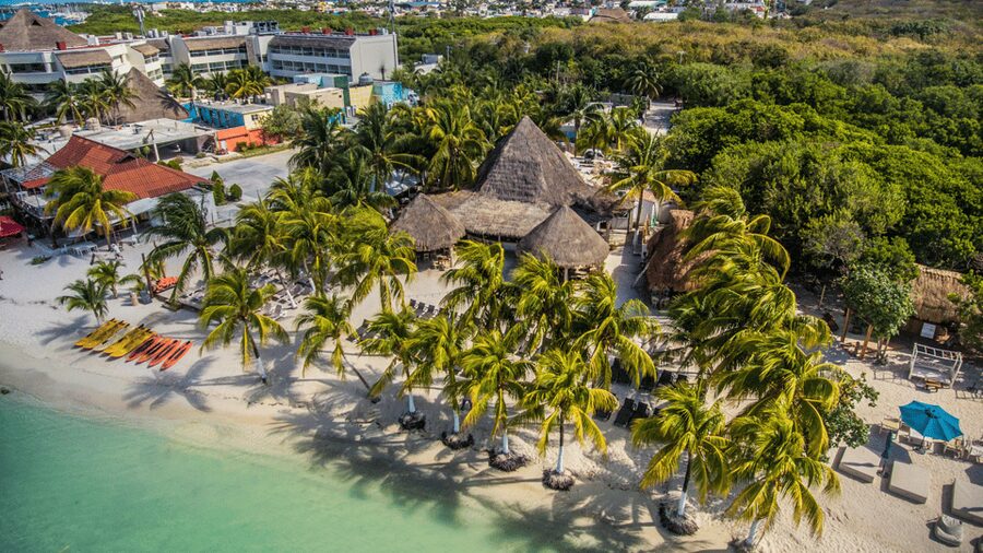 Cancún: Swim with Whale Sharks & Playa Norte Beach - Snorkeling sessions with a guide in the water, and what that means for you
