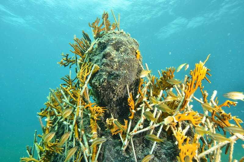 Cancún: Underwater Museum & Reef for Certified Scuba Divers - Key things I’d focus on before you go
