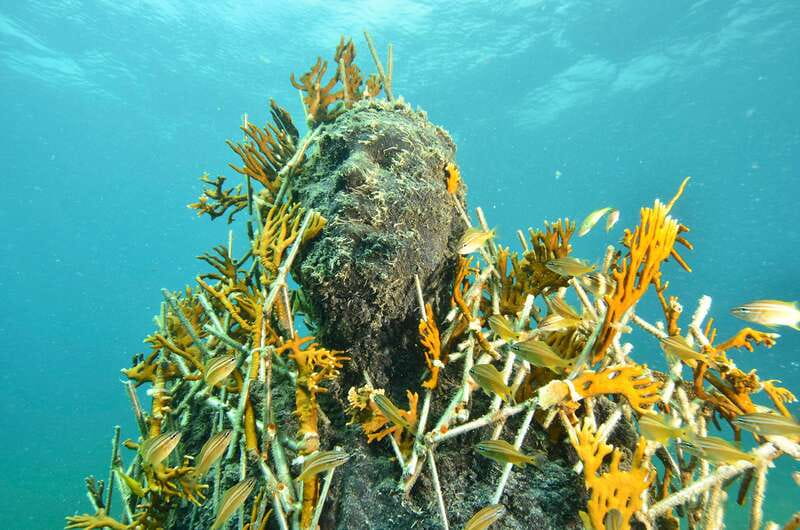 Cancún: Underwater Museum & Reef for Certified Scuba Divers - Meeting at Aquaworld Cancun without stress