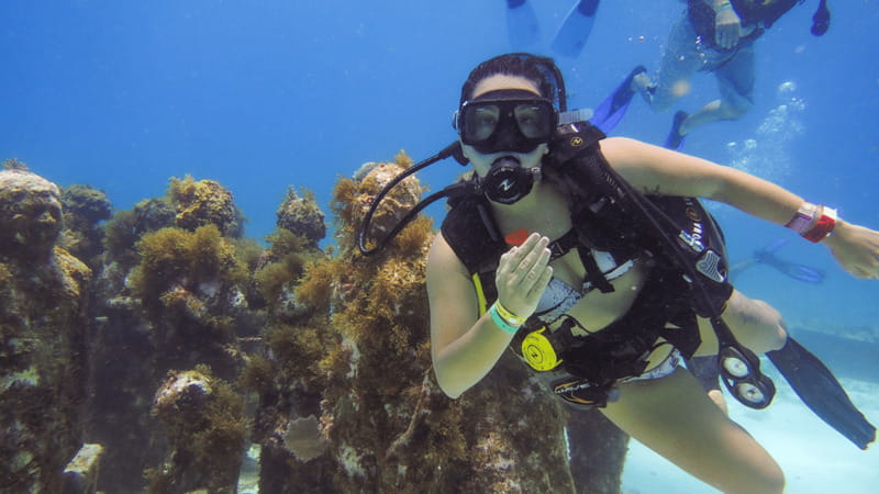 Cancún: Underwater Museum & Reef for Certified Scuba Divers - Stop two: Manchones Reef coral, turtles, and colorful fish