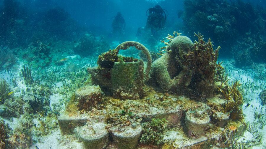 Cancún: Underwater Museum & Reef for Certified Scuba Divers - Your certification, your medical form, and who should skip this