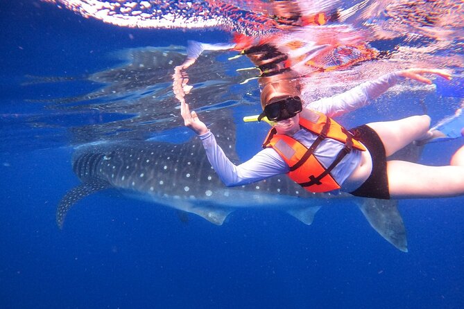 Cancun Whale Shark Experience with Snorkel & Transportation - Breakfast, ceviche lunch, and what you’re really paying for