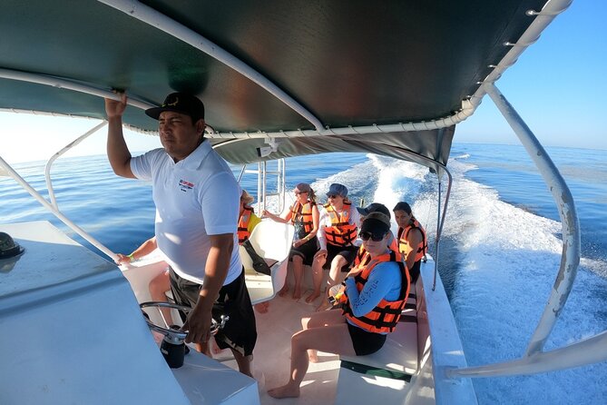 Cancun Whale Shark Experience with Snorkel & Transportation - Comfort tips that actually help on a whale shark day