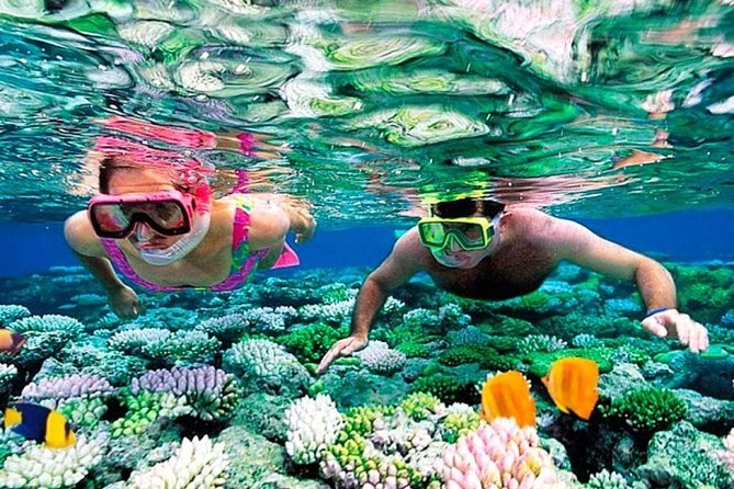 Catamaran adventure to Isla Mujeres with Snorkel,Buffet,Open Bar and Beach Club - Playa Norte beach club: where the day turns into vacation