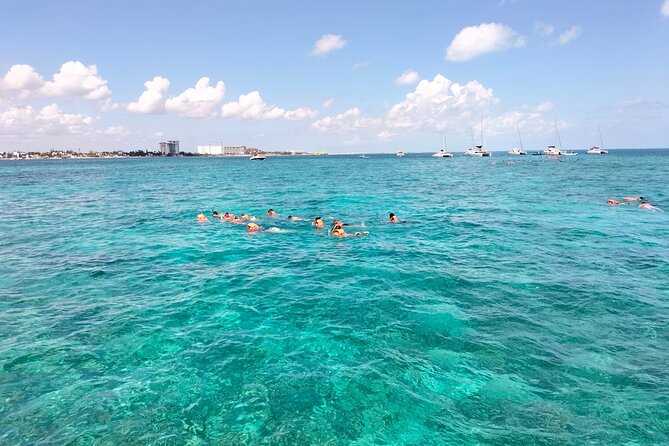 Catamaran Albatros Platinum & Beach club & Open bar & Isla Mujeres - Snorkeling at El Meco Reef: What You Need to Know