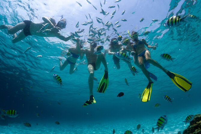 Catamaran Isla Mujeres Tour with Hotel Pick Up included - Isla Mujeres beach club lunch: food, drinks, and downtime
