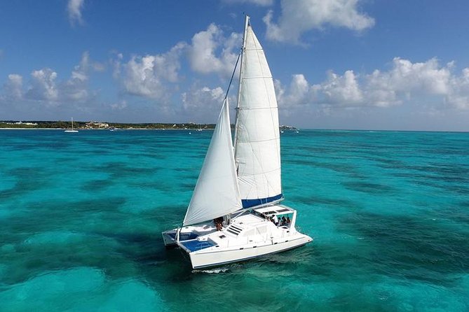 Catamaran Sailing & Snorkeling Experience Isla Mujeres from Playa Del Carmen - El Meco reef park: the snorkeling anchor of the day