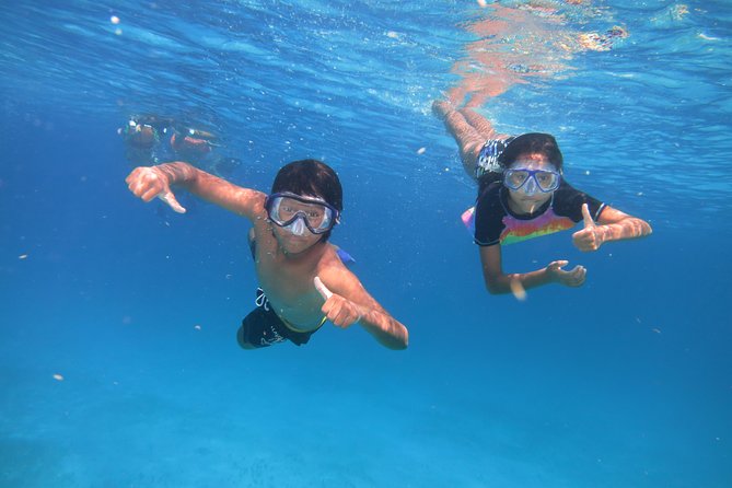 Catamaran Tour to Isla Mujeres all Included - Logistics that affect comfort: group size, language, and transportation