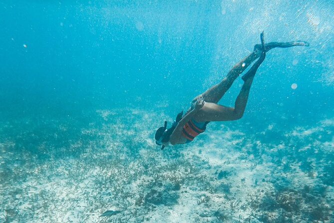 Catamaran Tour to Isla Mujeres Cancun - What I Think This Catamaran Tour Is Best For