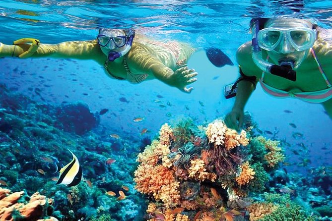 Chichen Itza Early Access & Catamaran to Isla Mujeres - Snorkeling at the Coral Reef Park: One Hour, Real Water Time
