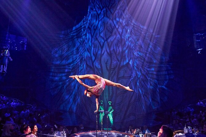 Cirque du Soleil JOYÀ Admission Tickets - Choosing your seating: side tables, high stools, center seats, and VIP