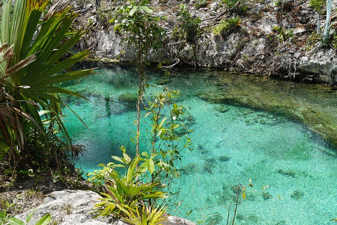 Coba, Tulum, Cenote and Mayan Village All Inclusive Tour - Modern Maya village lunch: honey, cacao, and what real culture looks like