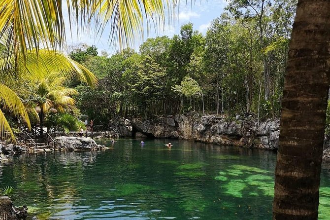 Coba, Tulum & Cenote swim - Cenote Kuxtal Swim and the Included Buffet Lunch