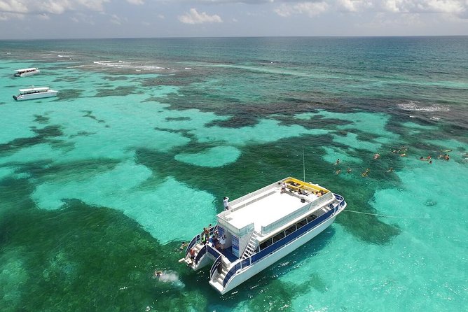 Contoy Caribbean Adventure! Round Transportation from Cancun - Food and drinks: how the buffet and bar affect the overall value