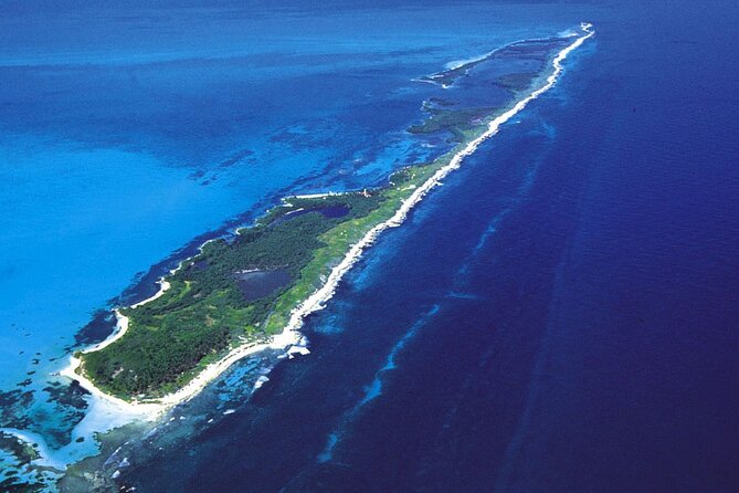 Contoy Island Tour from Cancun and Isla Mujeres with Snorkeling - 3 Hours on Contoy Island: Protected nature, birds, and a short guided walk