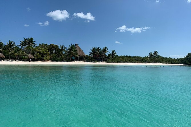 Contoy Island Tour from Cancun and Isla Mujeres with Snorkeling - Snorkeling Near Contoy: Included gear, captain decisions, and backup plans