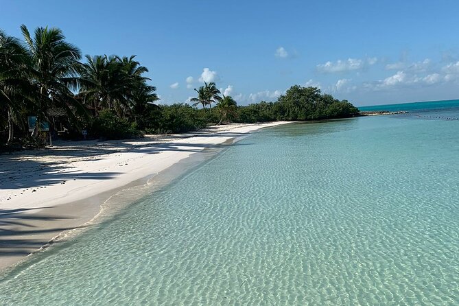 Contoy Island Tour from Cancun and Isla Mujeres with Snorkeling - Price and value: $155.32 plus dock tax, and what you actually get