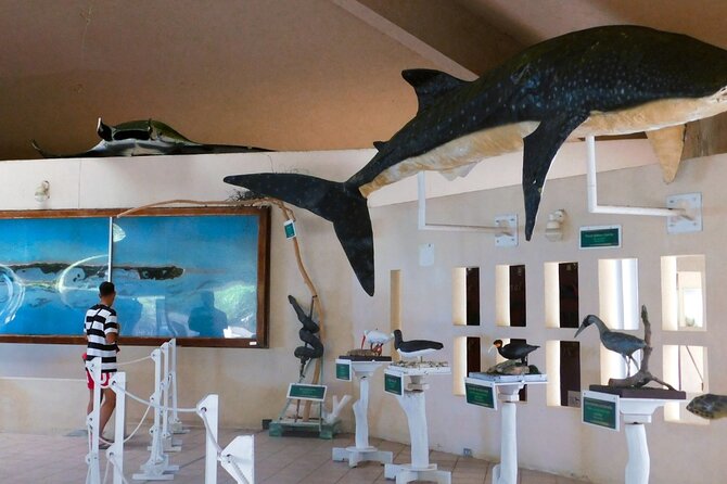 Contoy Island Tour from Cancun and Isla Mujeres with Snorkeling - Should you book Contoy Adventours’ Contoy Island Tour?