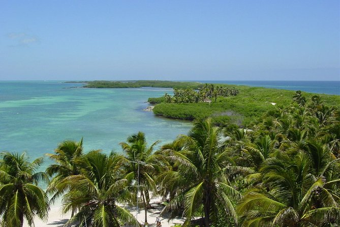 Contoy Island Tour from Playa del Carmen & Cancun - A day linking Contoy Island and Isla Mujeres without wasting time