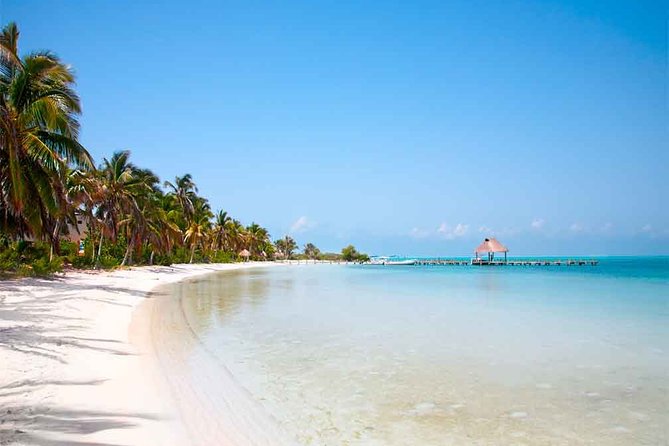 Contoy Island Tour from Playa del Carmen & Cancun - Snorkeling rules you should read before you assume