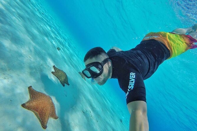 Cozumel by transparent boat and snorkeling in the sky with lunch. - Key highlights you should care about