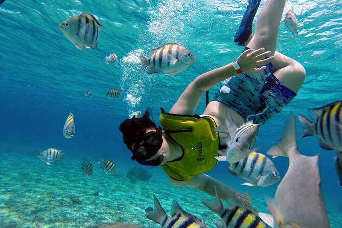 Cozumel by transparent boat and snorkeling in the sky with lunch. - Playa del Carmen to Cozumel Ferry Time: What to expect before you snorkel