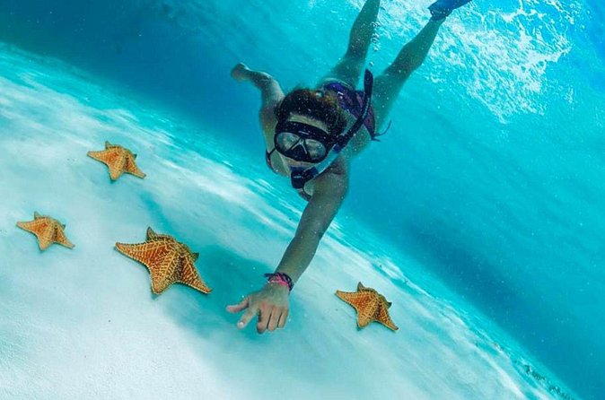 Cozumel by transparent boat and snorkeling in the sky with lunch. - Cielo by 4HS at 4 hours: Colombia reef, Palancar reef, and Cielito Beach