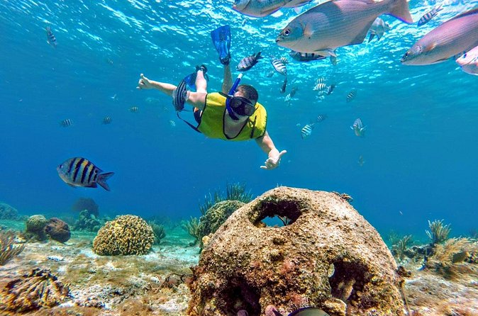 Cozumel by transparent boat and snorkeling in the sky with lunch. - Value check: is $200 worth it for a day like this?