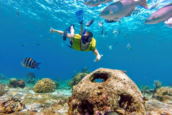 Cozumel by transparent boat and snorkeling in the sky with lunch. - Transparent Boat Snorkeling: Clear-water viewing with provided gear