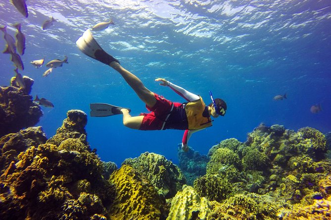 Cozumel Catamaran Snorkeling Tour & Lunch (Hotel Pick Up) - Playa Mia Grand Beach and Water Park: Where This Tour Shifts Gear