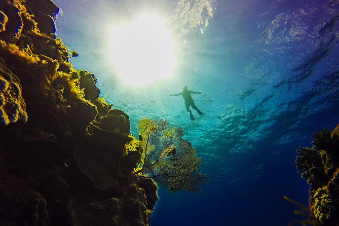 Cozumel Catamaran Snorkeling Tour & Lunch (Hotel Pick Up) - Lunch and Drinks: What’s Included, and When You Get Alcohol