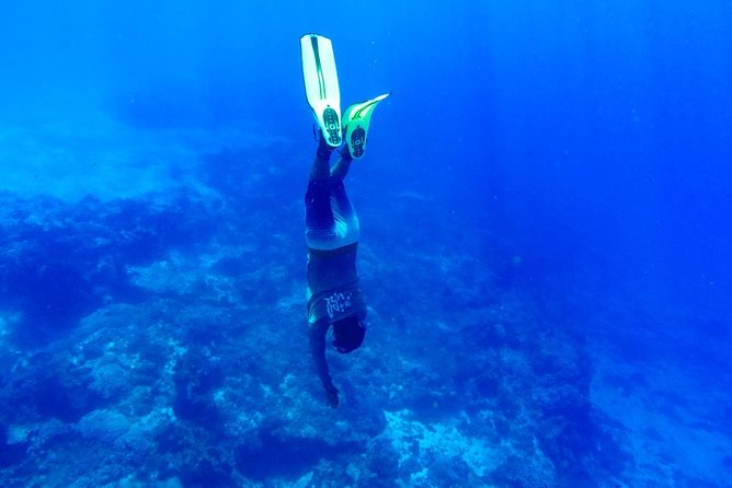Cozumel Catamaran Snorkeling Tour & Lunch (Hotel Pick Up) - Price and Added Fees: Getting Real About Value