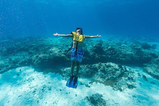 Cozumel Catamaran Snorkeling Tour & Lunch (Hotel Pick Up) - The Boat Ride and Certified Guide Setup