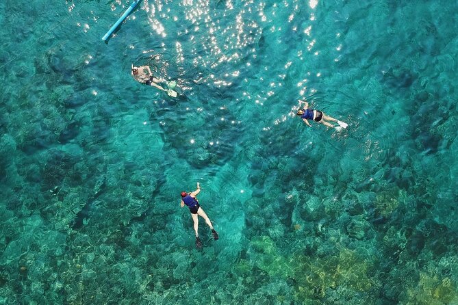 Cozumel El Cielo All Inclusive Tour from Cancun - Stop 2, Palancar Reef: The World-Famous Name