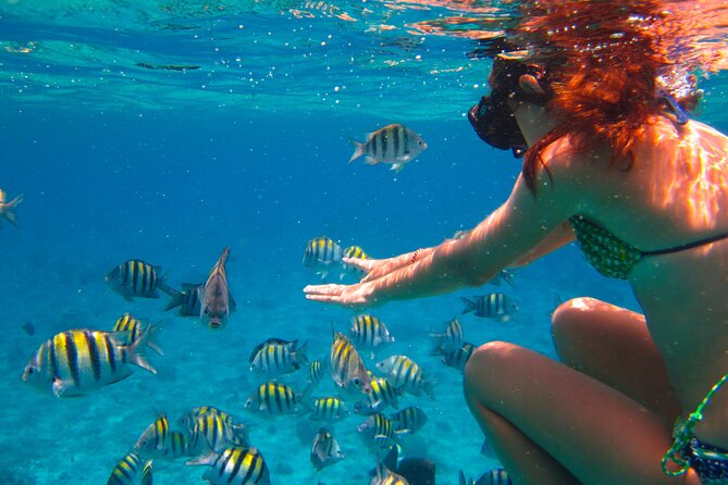 Cozumel El Cielo All Inclusive Tour from Cancun - Group Size, Comfort, and What to Expect on the Water