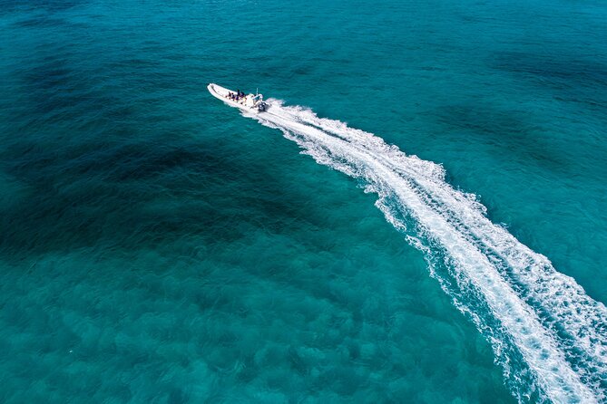 Cozumel Starfish and Tropical Reef Snorkeling by Powerboat with Lunch - Cozumel Reef National Park: Why This Snorkel Route Works