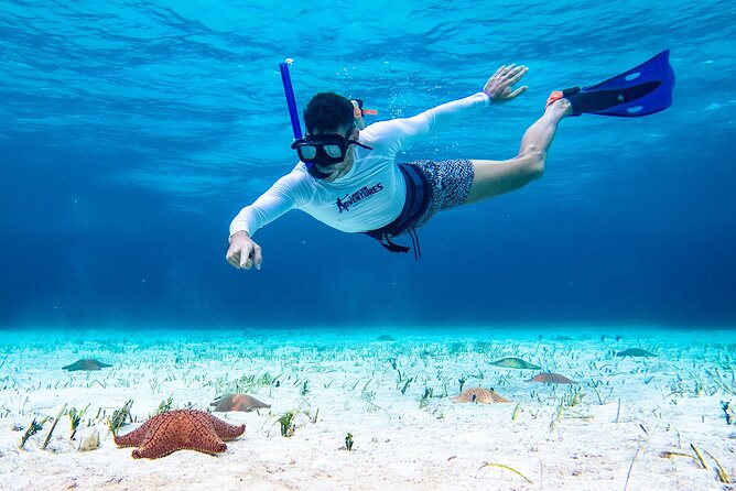Cozumel Starfish and Tropical Reef Snorkeling by Powerboat with Lunch - What You Actually Do: Gear Up, Snorkel With Guidance, Then Repeat