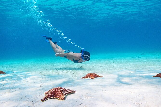 Cozumel Starfish and Tropical Reef Snorkeling by Powerboat with Lunch - El Cielo: The Starfish Sandbar Moment That People Plan Their Day Around
