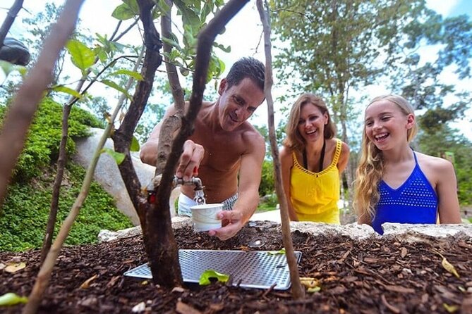 Day of wonder at Xenses! Round Transportation From Cancun - Food, photos, and what to budget beyond the ticket