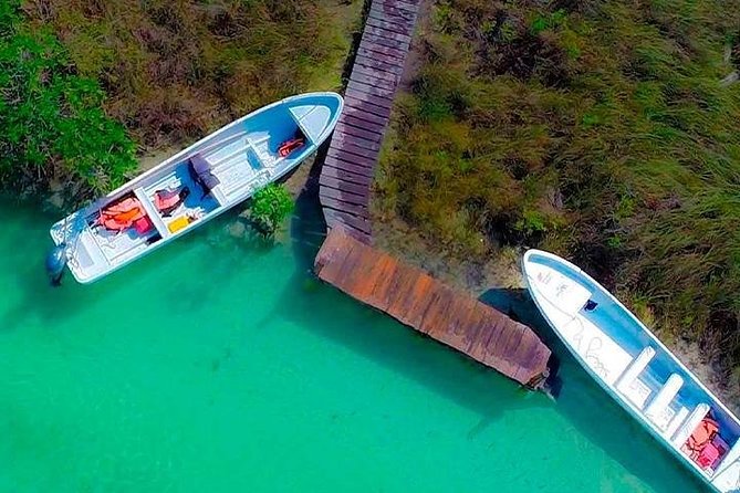 Deep into Nature at Sian Ka'an Biosphere! Round Transportation From Riviera Maya - Punta Allen boat time: wildlife watching with time to breathe