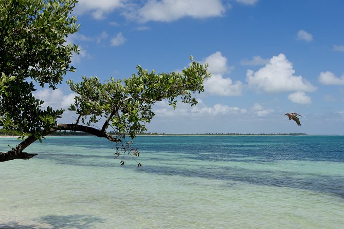 Deep into Nature at Sian Ka'an Biosphere! Round Transportation From Riviera Maya - Lunch and the small menu choice that keeps the day moving