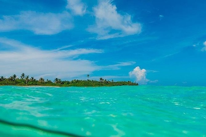 Deep into Nature at Sian Ka'an Biosphere! Round Transportation From Riviera Maya - Getting picked up in Cancun and Playa del Carmen (and where to meet otherwise)