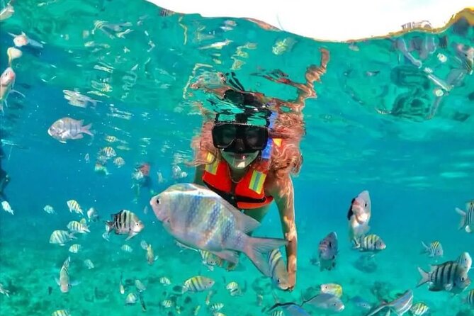 Deluxe Catamaran to Isla Mujeres with Open Bar from Cancun - Isla Mujeres: the 1.5-hour island break that actually matters