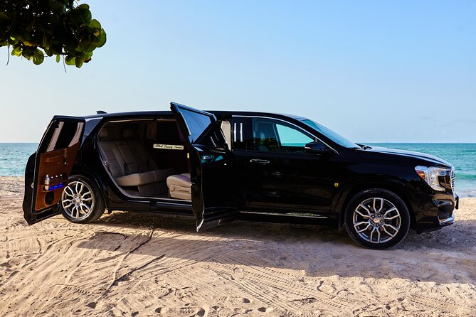 Deluxe GMC Limousine from CUN Airport to Playa Mujeres - Small Hiccups to Watch: Entertainment Setup